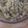 Krishna Dholakia's cooksnap of when they made ફણગાવેલા કઠોળ (Fangavela Kathor Recipe In Gujarati).