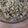 Krishna Dholakia's cooksnap of when they made ફણગાવેલા કઠોળ (Fangavela Kathor Recipe In Gujarati).