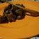 Cooksnap dari Mimi Sumirah untuk resep Rendang Daging Sapi