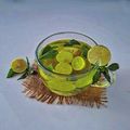 کوک اسنپ Lida Aali بعد از امتحان کردن دمنوش نعناع و لیمو 🍋.