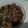 Cooksnap dari Orchid Ratu untuk resep Beef Teriyaki