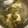 黑暗料理進化中 的 鱸魚酸菜湯(簡單料理) cooksnap