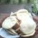 El cooksnap de Liliana Olivares cuando hizo Pan árabe.