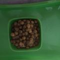 Tanaia lal का कुकस्नैप जब उन्होंने स्प्राउट चना चाट (Sprout Chana chaat recipe in hindi) बनाया था।