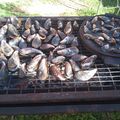 El cooksnap de Paola cuando hizo Cholgas Asadas.