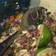 Cooksnap dari Audhe Amantjik untuk resep Sambal Matah
