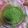 il Maria Musini quando ha preparato Pesto di rucola