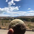 El cooksnap de Cami 🏔 cuando hizo Galletas bicolor 🍭.