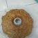 Cooksnap dari Shafiyyah Yasna untuk resep Steam banana cake (no mixer, takaran sdm sdt)