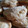 Melissa's cooksnap of when they made Butter Biscuits.
