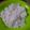Cooksnap dari Devi dr untuk resep Tips mengukus nasi kemarin #Rahasia tetep fresh (no bau khas)