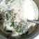 Cooksnap dari Lin Erlin untuk resep Sayur bobor kenikir