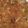 Cooksnap dari Diana Dee untuk resep Bihun goreng
