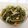 阿文 的 紅蘿蔔絲涼拌海帶絲 cooksnap