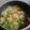 Cooksnap dari Dian Dulari untuk resep Sayur Sop Bening / Clear Sup Tanpa Ayam