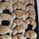 El cooksnap de Meel Gorosito cuando hizo Medialunas de manteca🥐.