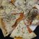 El cooksnap de mary cuando hizo Pizza sin tacc / sin gluten / apto celíacos con chuño de mandioca.