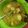 Cooksnap dari candra untuk resep Opor Ayam Bumbu Kuning
