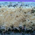 Cooksnap dari Mbuli Andriyani untuk resep BOLU LEMBUT KUKUS, no Mixer, SENSASI MILO