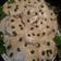 El cooksnap de Graciela Calvitti cuando hizo Vitel tone.