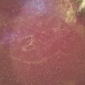 Cooksnap de Delphine Sam sur la recette Soupe au chou rouge (vegan)
