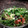 El cooksnap de Erikillo cuando hizo Ensalada tibia de rúcula y canónigos con huevo picado (revuelto).