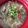 陳姵伶 的 赤肉羹湯 cooksnap