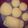 Samantha 's cooksnap of when they made Easy toast bread 🍞.