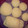 Samantha 's cooksnap of when they made Easy toast bread 🍞.