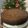 Yui Miles's cooksnap of when they made Christmas Cake 1936.