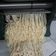 Cooksnap dari Ruskiah Suryadi untuk resep Mie homemade