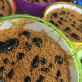 صورة من Huda🌸، شاركها بعد تجربة وصفة حلى خشخش 😍