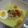 Cooksnap dari Mike Jevika untuk resep Soto Ayam Santan