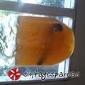 Cooksnap από pallini στη συνταγή Εύκολη μαρμελάδα Μήλο Κανέλα