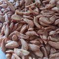 Cooksnap dari Ayu Kuswari untuk resep Kue Biji Ketapang Lembut Renyah