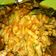 Cooksnap dari Intan Laras untuk resep Oseng bumbu usus ayam tempe kemangi
