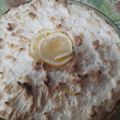 El cooksnap de Evelyn Valente cuando hizo Lemon pie✨.