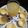 Puja Shaw's cooksnap of when they made মুসাম্বি জ্যুস (musambi juice recipe in Bengali).