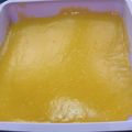 El cooksnap de Alejandra Sanchez cuando hizo Postre de naranja🍊 con copo de dulce de leche light.