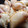 El cooksnap de k1000a cuando hizo Empanadas de choclo y salsa blanca.