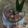 Cooksnap dari Hanindya untuk resep Wedang ronde #KamisManis