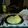 El cooksnap de Alejandro Javier Suppo cuando hizo Bagre en salsa de leche de coco.