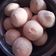 El cooksnap de Miriam Mariniello cuando hizo Muffins fáciles y económicos.
