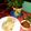 Nandita Mukherjee's cooksnap of when they made চিকেন চাপ(chicken chaap recipe in Bengali).