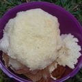 Cooksnap dari Tio Herlina untuk resep Kerupuk Karak Bawang Khas Solo Tanpa Bleng (Boraks)