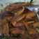 Cooksnap dari Rosyidah Cahyani untuk resep Ayam Kecap Berkuah