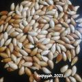 Cooksnap dari Naqiyyah 🍒 untuk resep Kwaci biji Labu Parang (691)