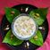 Saroj Shah's cooksnap of when they made ખીર(Kheer recipe in Gujarati).