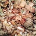 El cooksnap de Carmeta cuando hizo Coliflor con judía blanca y bacon.