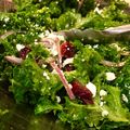 x's cooksnap of when they made Cranberry Kale Salad with Honey Lemon Vinaigrette.